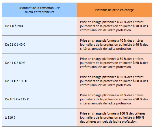 fifpl micro entrepreneurs